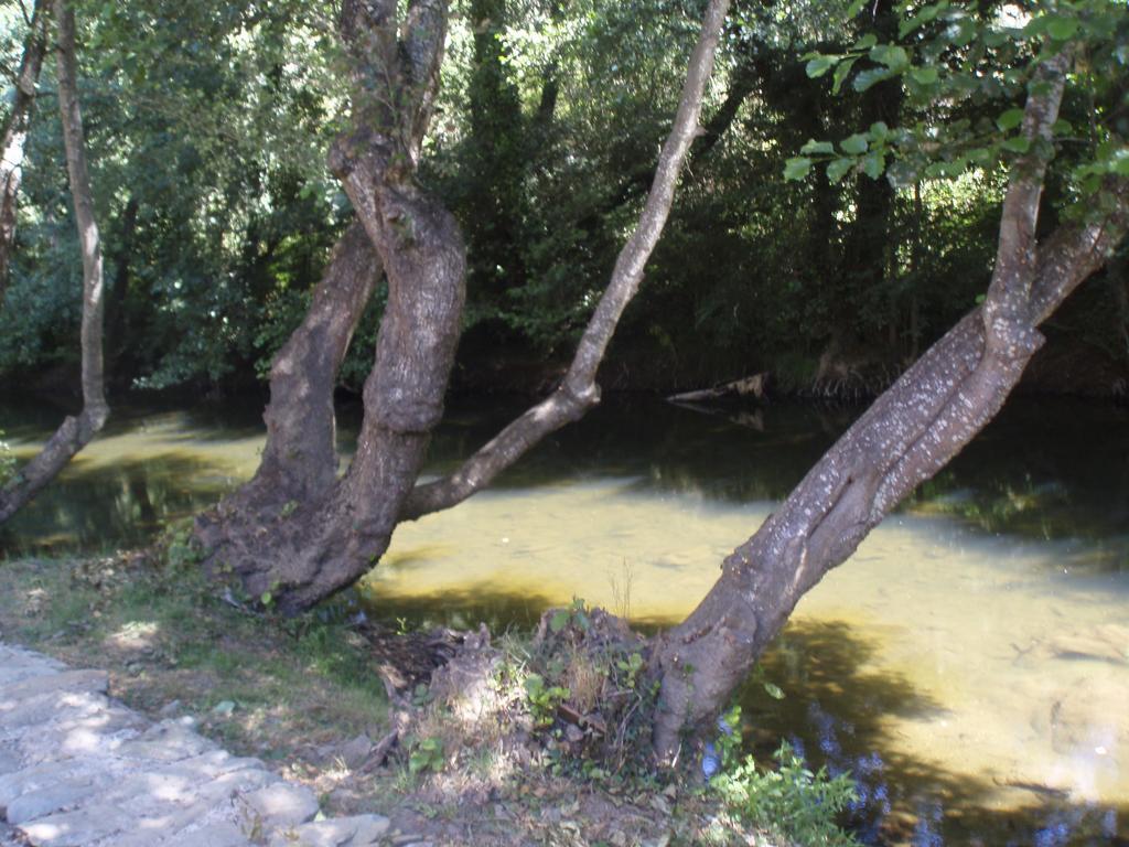 Casa di campagna Moinho Da Ponte Velha Bragança