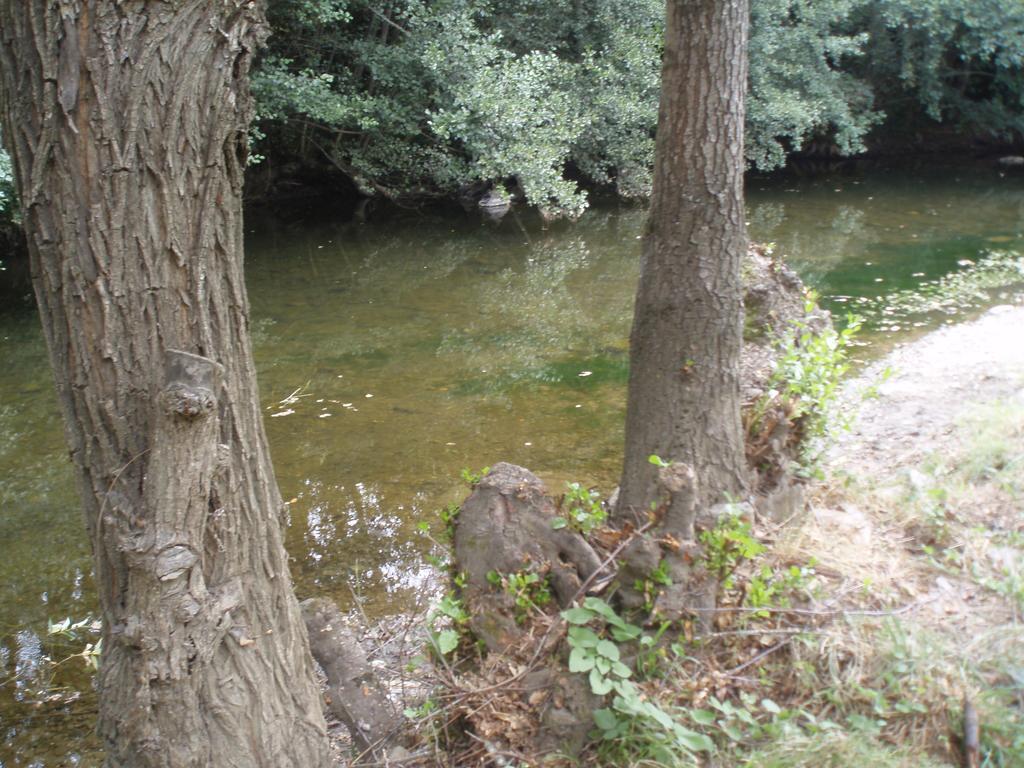 Moinho Da Ponte Velha Braganca